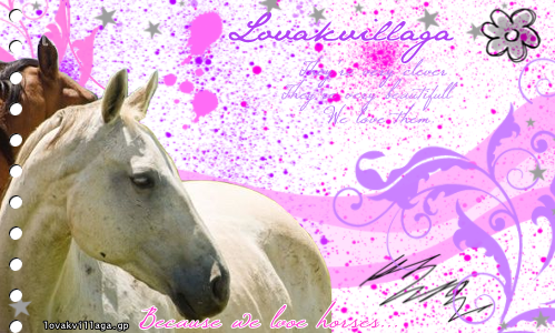 /--We Love Horses!--/